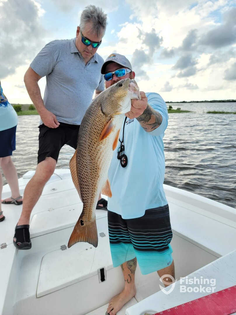 Cedar Key Report Photo 0