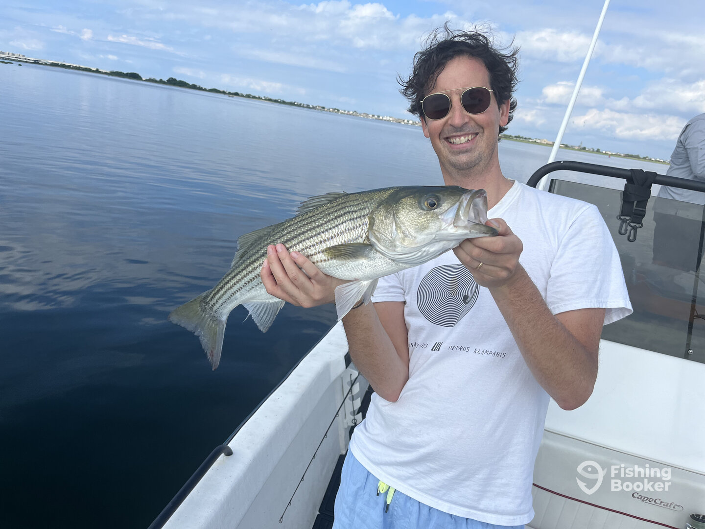 New York City Report Photo 0