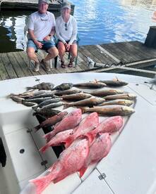 Venice Report Photo 2