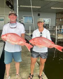 Venice Report Photo 1