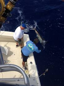 August started off with a bang !