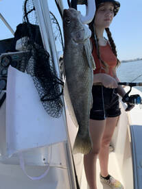 Somers Point Report Photo 1