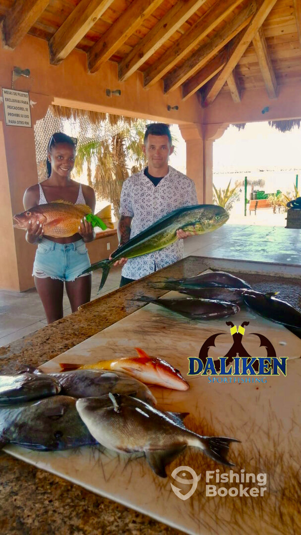 San Jose del Cabo Report Photo 0