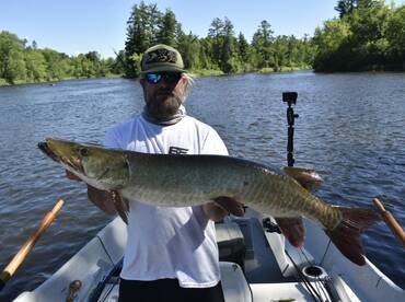 Musky, Cats, and Bass