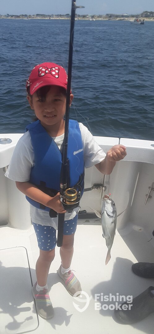 New York City Report Photo 0