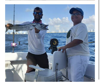 Tropy barracuda this morning