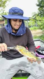 Peacock bass madness