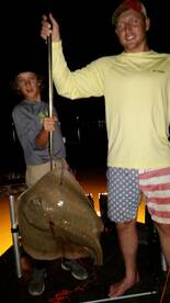 Big old soutjern ray.  