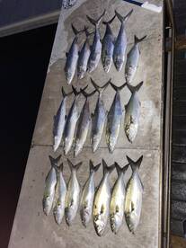 Sunset Fishing Trip Cruise 