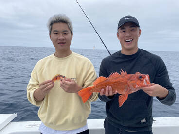 San Diego Report Photo 2