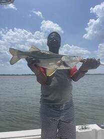Snook