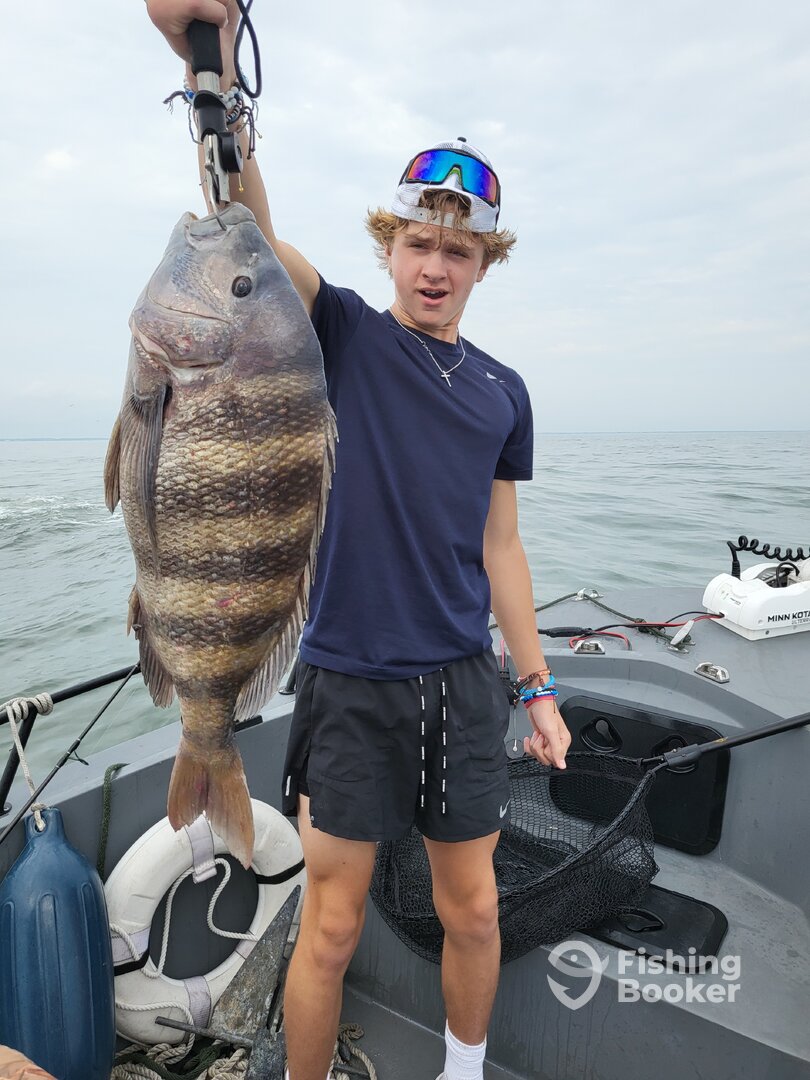 Lewes Report Photo 0