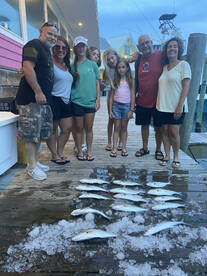 Evening Bluefish Bite