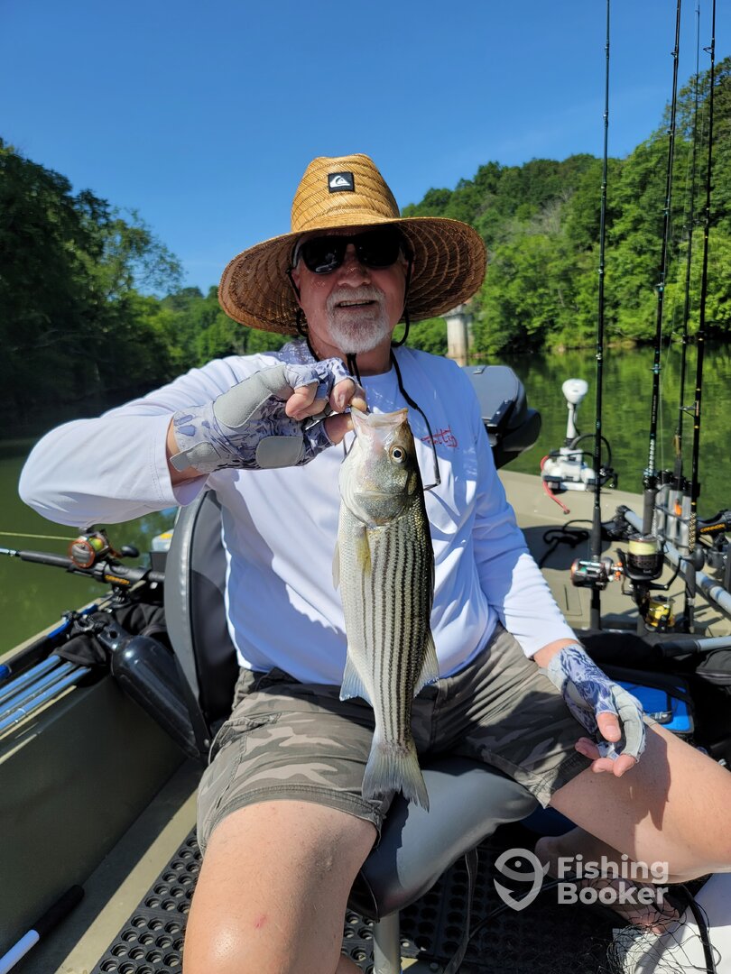 Harrison Report Photo 0