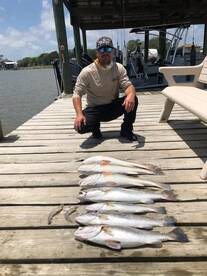 July is on fire for Specks