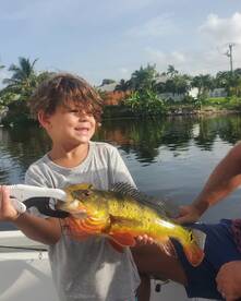 Delray Beach Report Photo 1