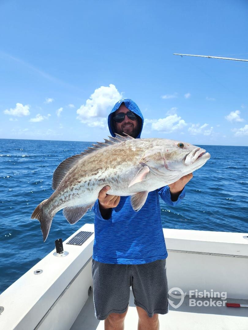 Dania Beach Report Photo 0