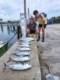 Dania Beach Report Photo 1