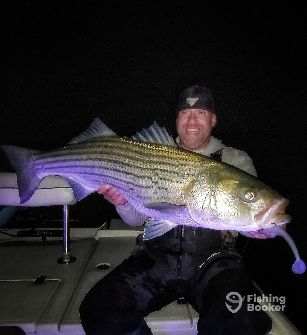 Milford Report Photo 0