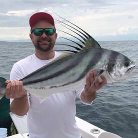 Hot Roosterfish bite all week 