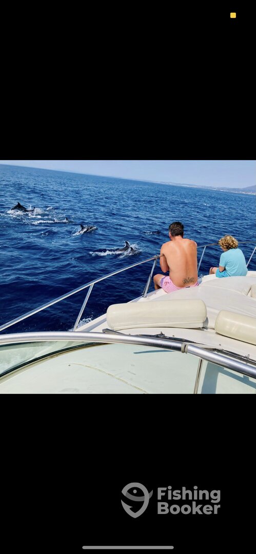 Marbella Report Photo 0