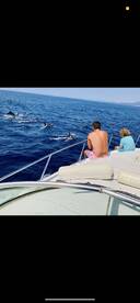 A perfect fishing morning!