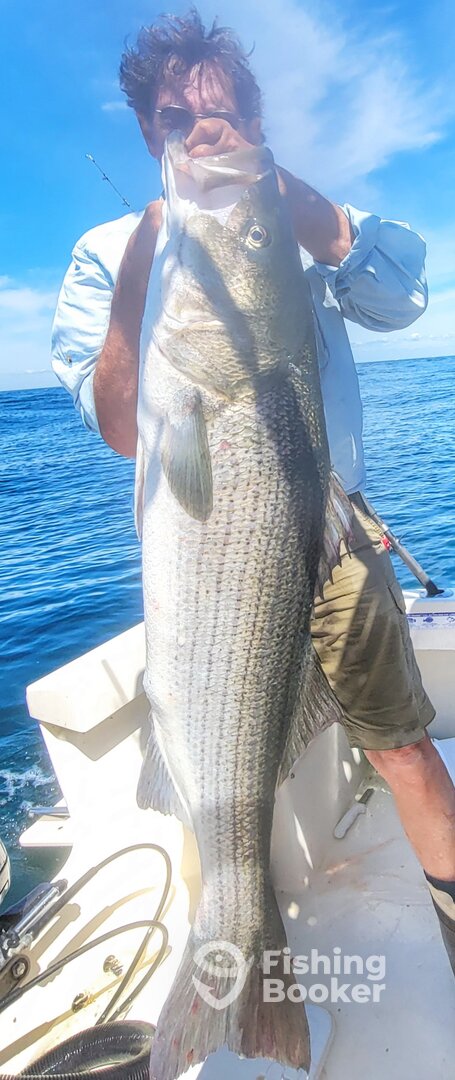 Montauk Report Photo 0