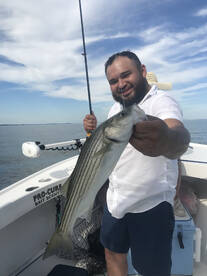 Lots of action right now