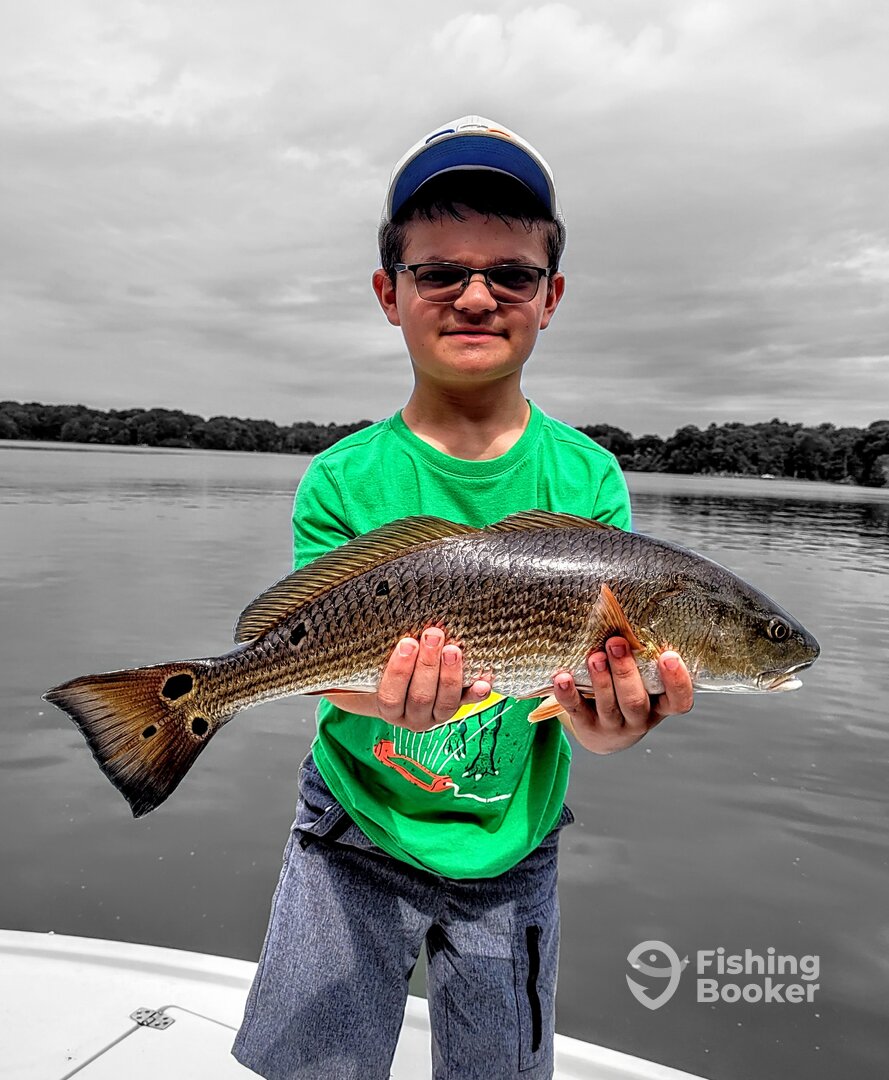 Englewood Report Photo 0