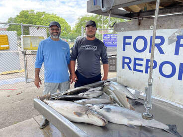 Oak Creek Report Photo 2