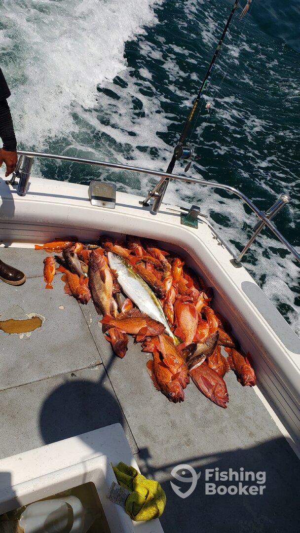 Ensenada Report Photo 0