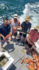 Ensenada Report Photo 1