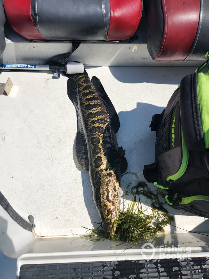 Leesylvania Report Photo 0