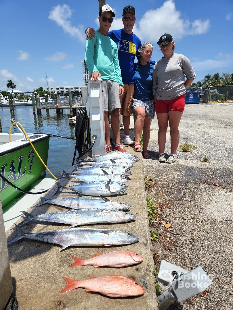 Dania Beach Report Photo 0