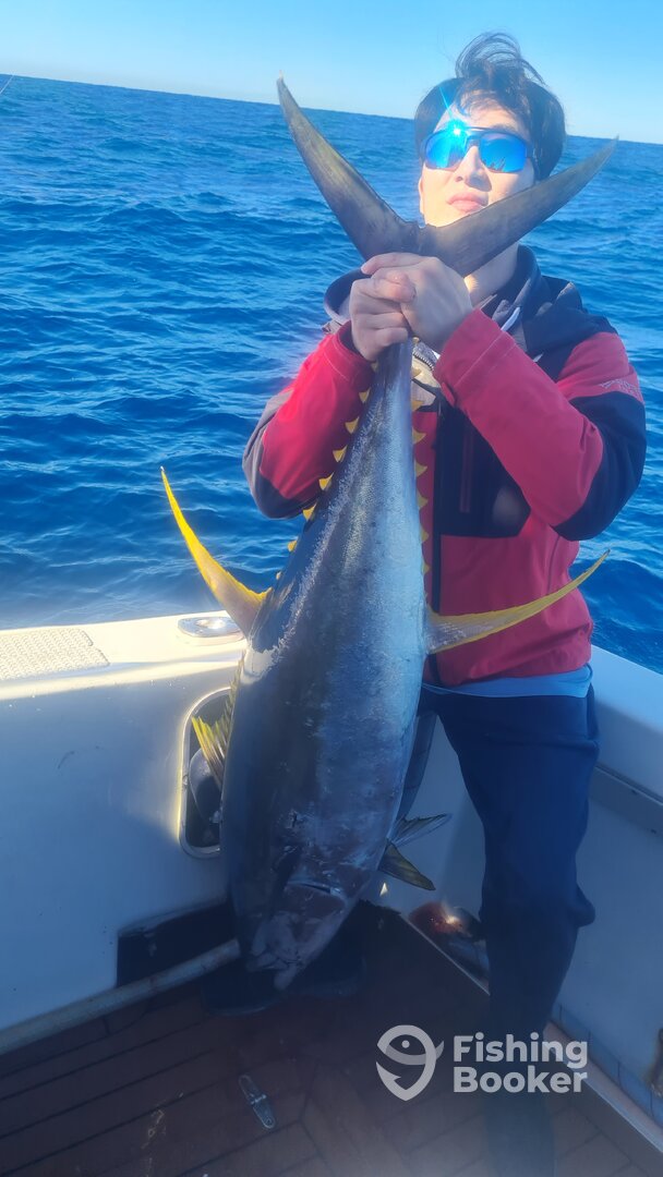 Sydney Report Photo 0