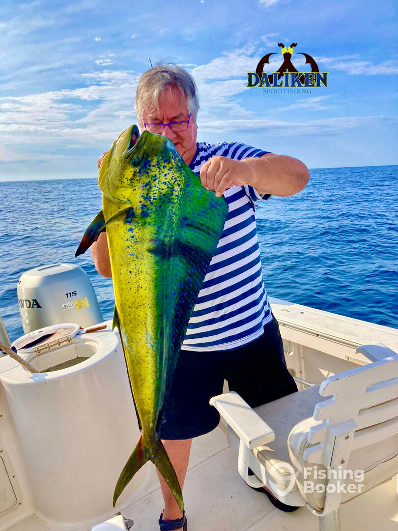 San Jose del Cabo Report Photo 0