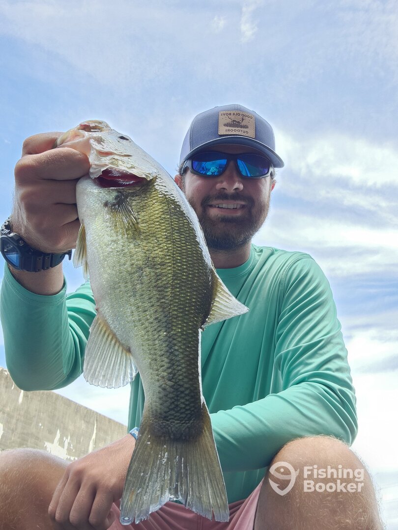 Chattanooga Report Photo 0