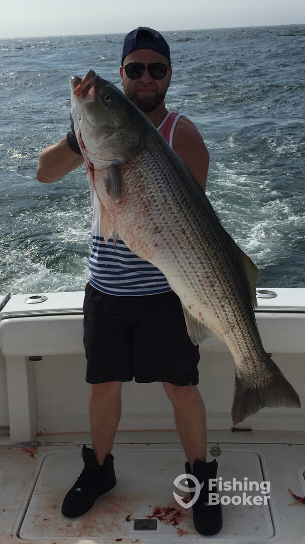 Montauk Report Photo 0