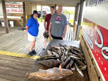 New Orleans Report Photo 1