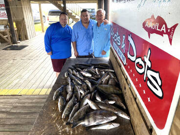 New Orleans Report Photo 2