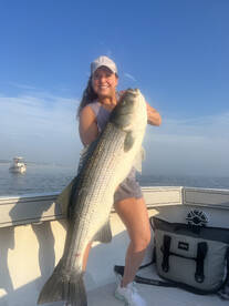 Dennis Report Photo 1