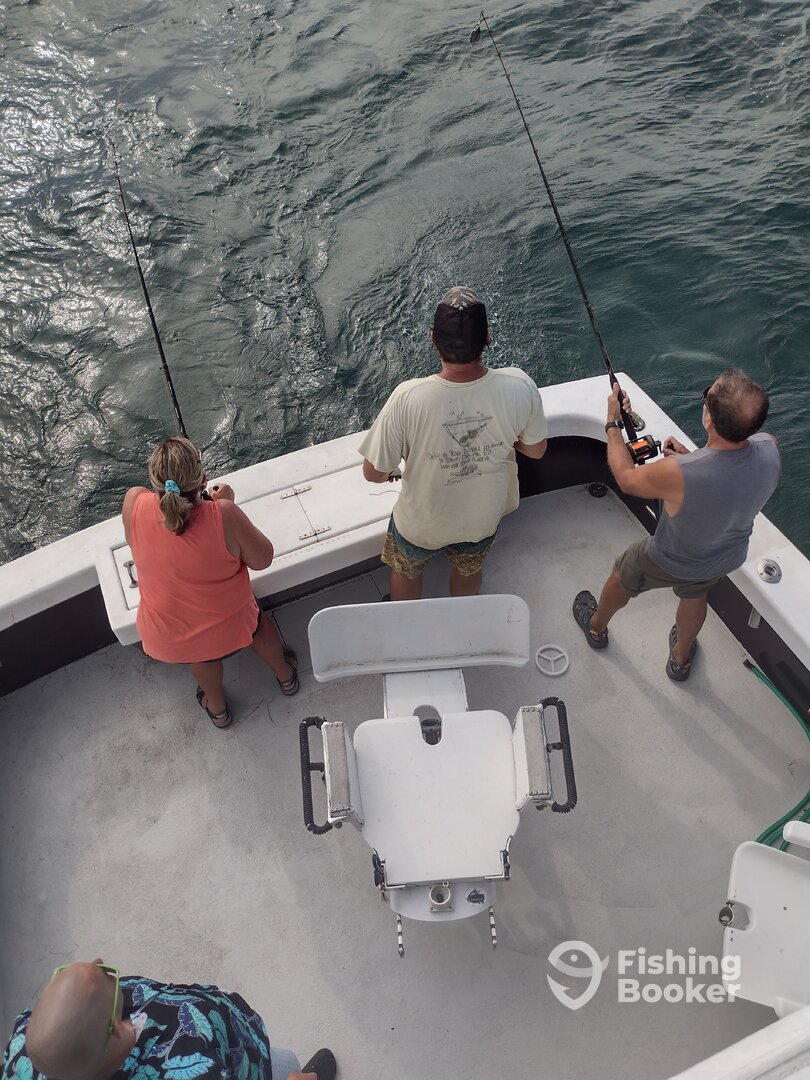 Wanchese Report Photo 0