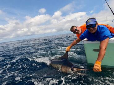 Quepos Report Photo 1