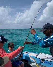 Yellow tail snapper. 