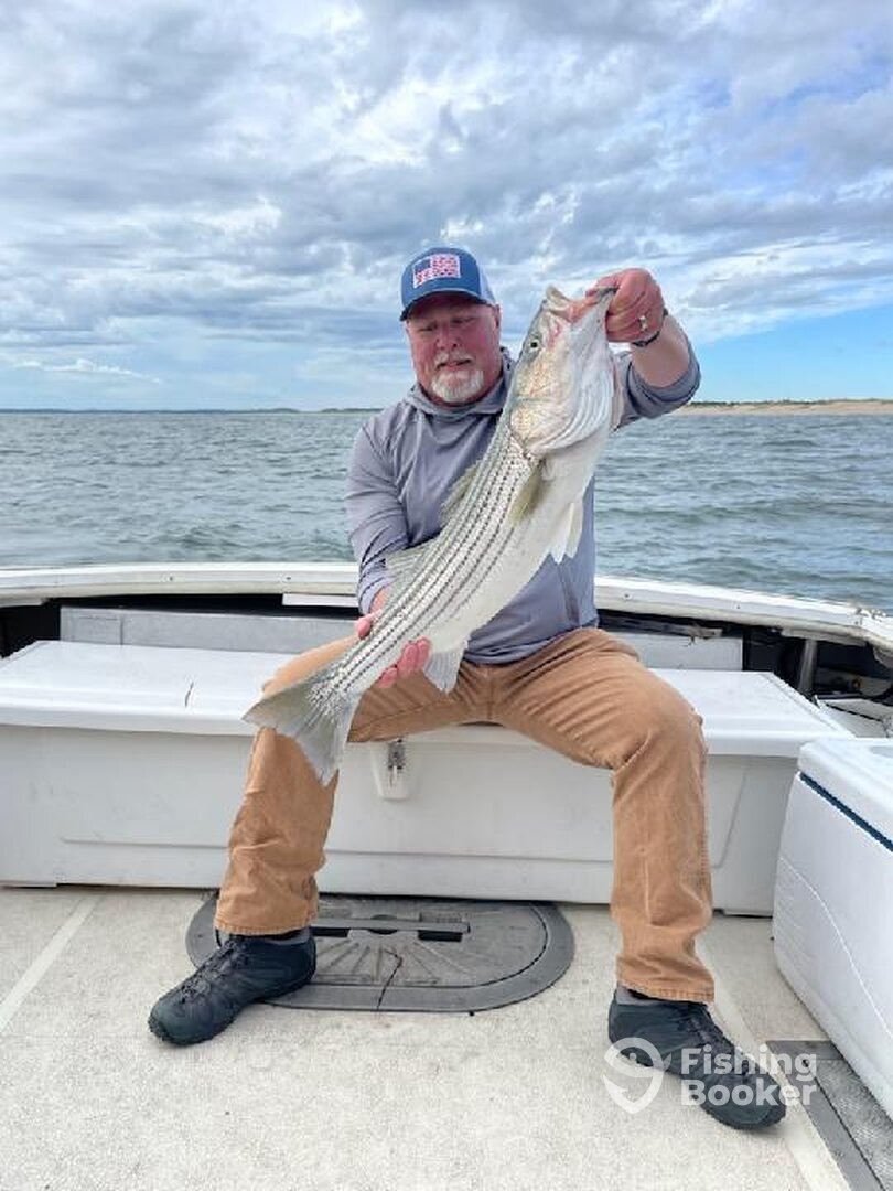 Newburyport Report Photo 0