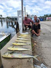 Dania Beach Report Photo 1