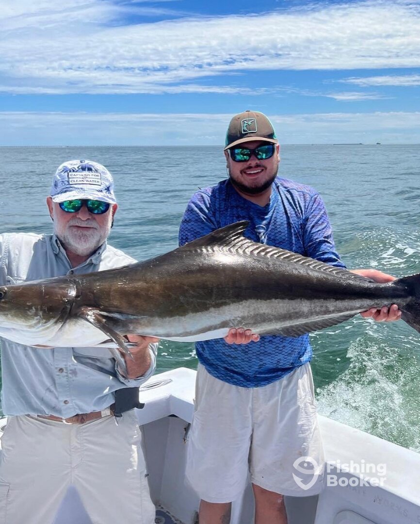 Norfolk Report Photo 0