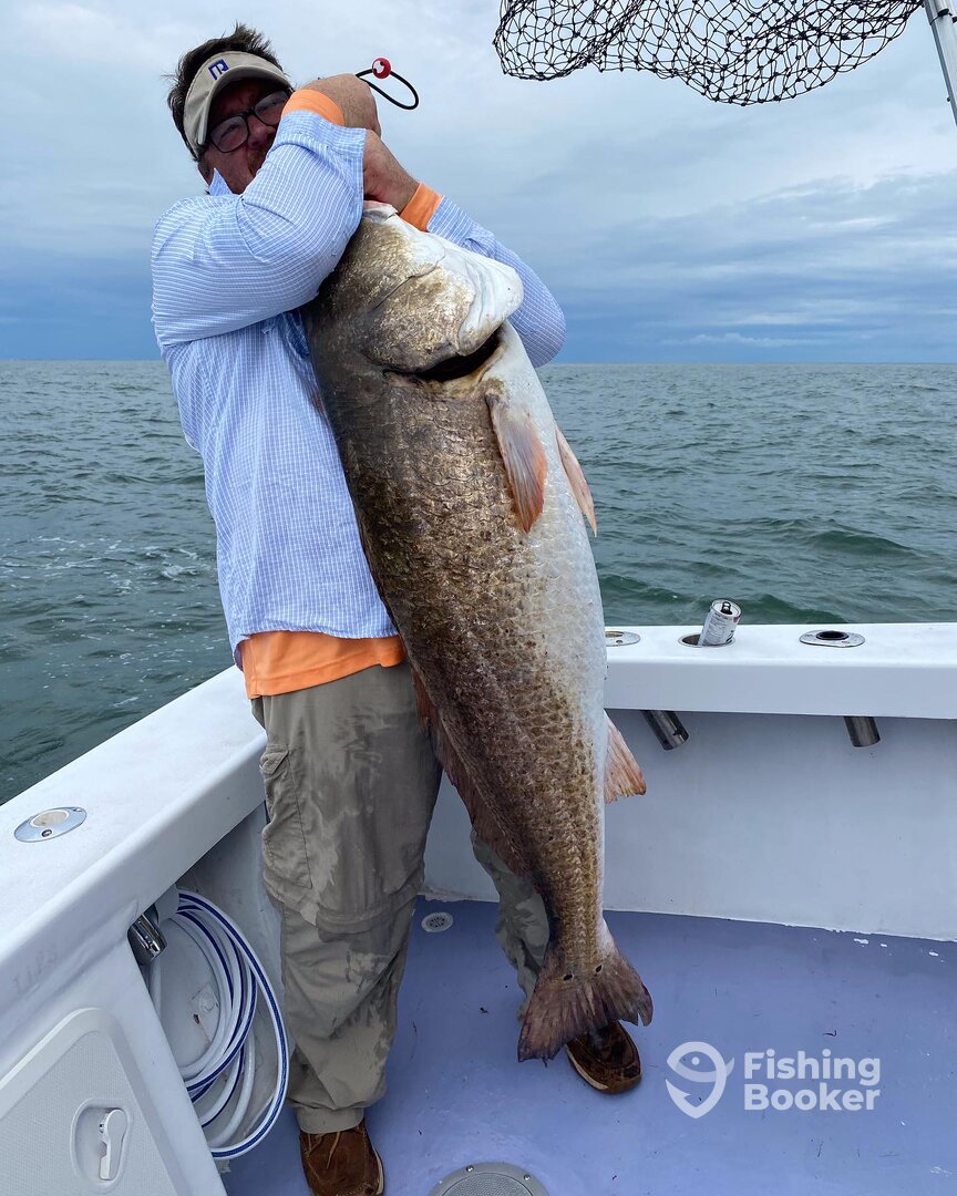 Norfolk Report Photo 0