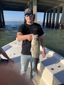 Ocean City Report Photo 2