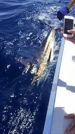 Full day fishing trip